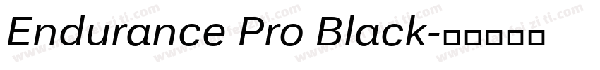 Endurance Pro Black字体转换